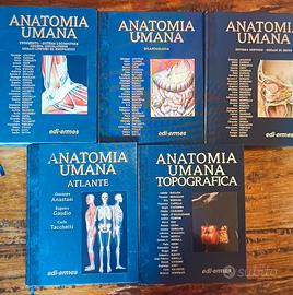 Trattato di anatomia umana Nuovo