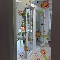 Porta in vetro temperato a due ante con disegni