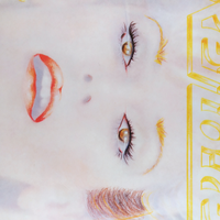 Disco vinile Donatella rettore