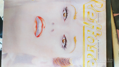 Disco vinile Donatella rettore