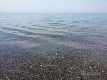 Mare Sapri 16/31