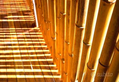 Canne di bambù diametro da 1 a 10 cm.