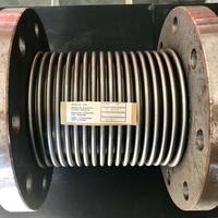 Giunto inox Flangiato
