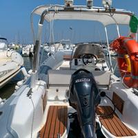 SACS 530, evinrude e-tec 40cv