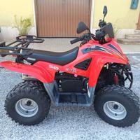 Quad 50 Dinli Omologato Motore Minarelli