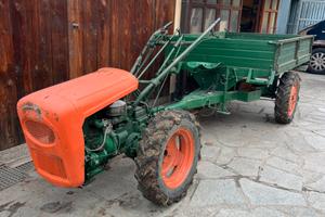 Goldoni Export