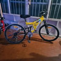 Mountain bike da ragazzo