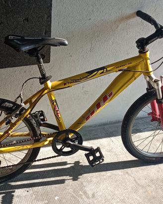 Bici ragazzo