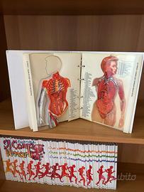 enciclopedia corpo umano