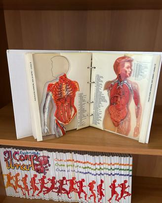 enciclopedia corpo umano