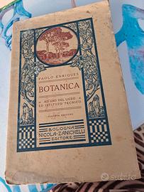 Botanica