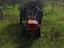 Immagine 5