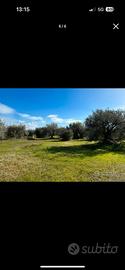 Terreno agricolo
