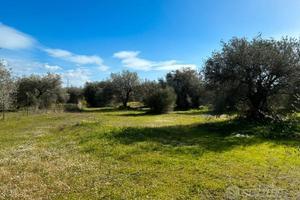 Terreno agricolo