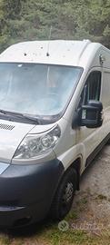 camper puro 