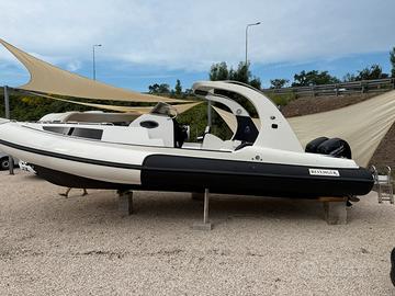 Revenger Zeus 2 mercury 150 cv anno 2023 ore 60