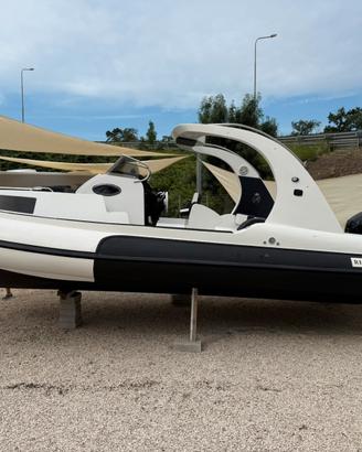 Revenger Zeus 2 mercury 150 cv anno 2023 ore 60