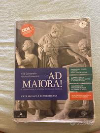 libro latino terzo anno ad maiora!