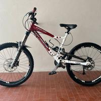 Rocky Moutain slayer custom