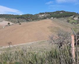 Terreno Agricolo Panoramico 20 Ettari