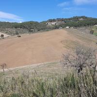 Terreno Agricolo Panoramico 20 Ettari