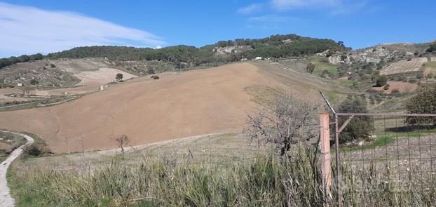 Terreno Agricolo Panoramico 20 Ettari