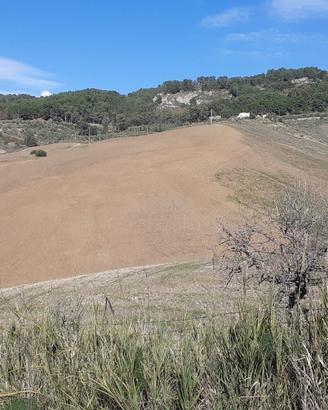 Terreno Agricolo Panoramico 20 Ettari