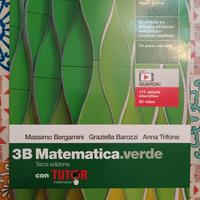 3B Matematica verde 