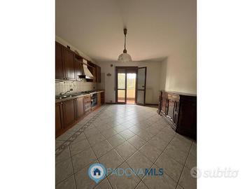 Montegrotto Terme - Appartamento con taverna