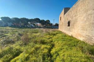 Trepuzzi ex opificio