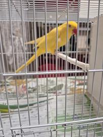 Consegna Palermo e provincia