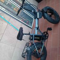 bicicletta elettrica 