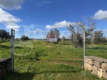 Terreno Agricolo Galatina [Cod. rif 3294156VCG]