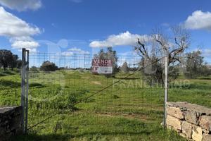 Terreno Agricolo Galatina [Cod. rif 3294156VCG]