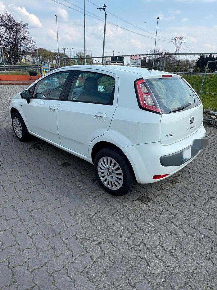 FIAT Punto Evo