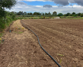 Terreno agricolo edificabile
