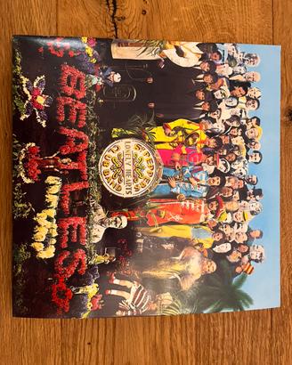 Dischi Vinili in condizioni perfette