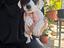 Immagine 1