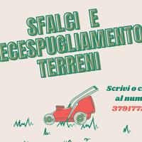 Pulizia terreni decespugliazione 