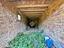 Immagine 18