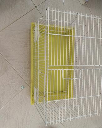 gabbia per uccellini 