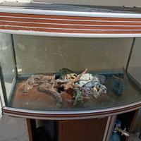 Acquario 80 lt con mobile ed accessori