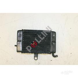 Radiatore (motociclo) Honda (ciclomotori)