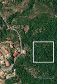 Terreno Ulivi 