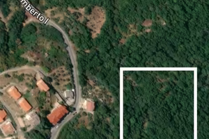 Terreno Ulivi 