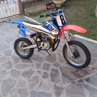 Beta 50