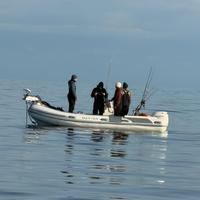 gommone Master 540 summer suzuki df100