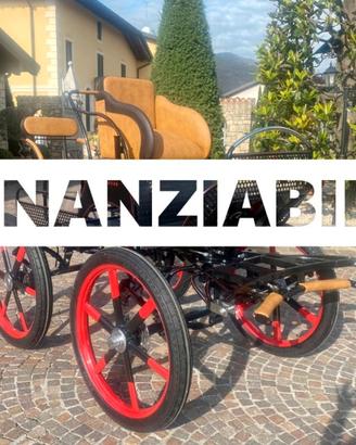 Carrozza per cavallo marathon holand singolo