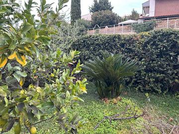 Duplex con Giardino - Roma EUR Torrino Sud