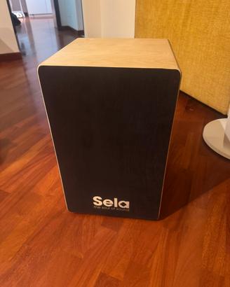 Cajon Sela SE 118